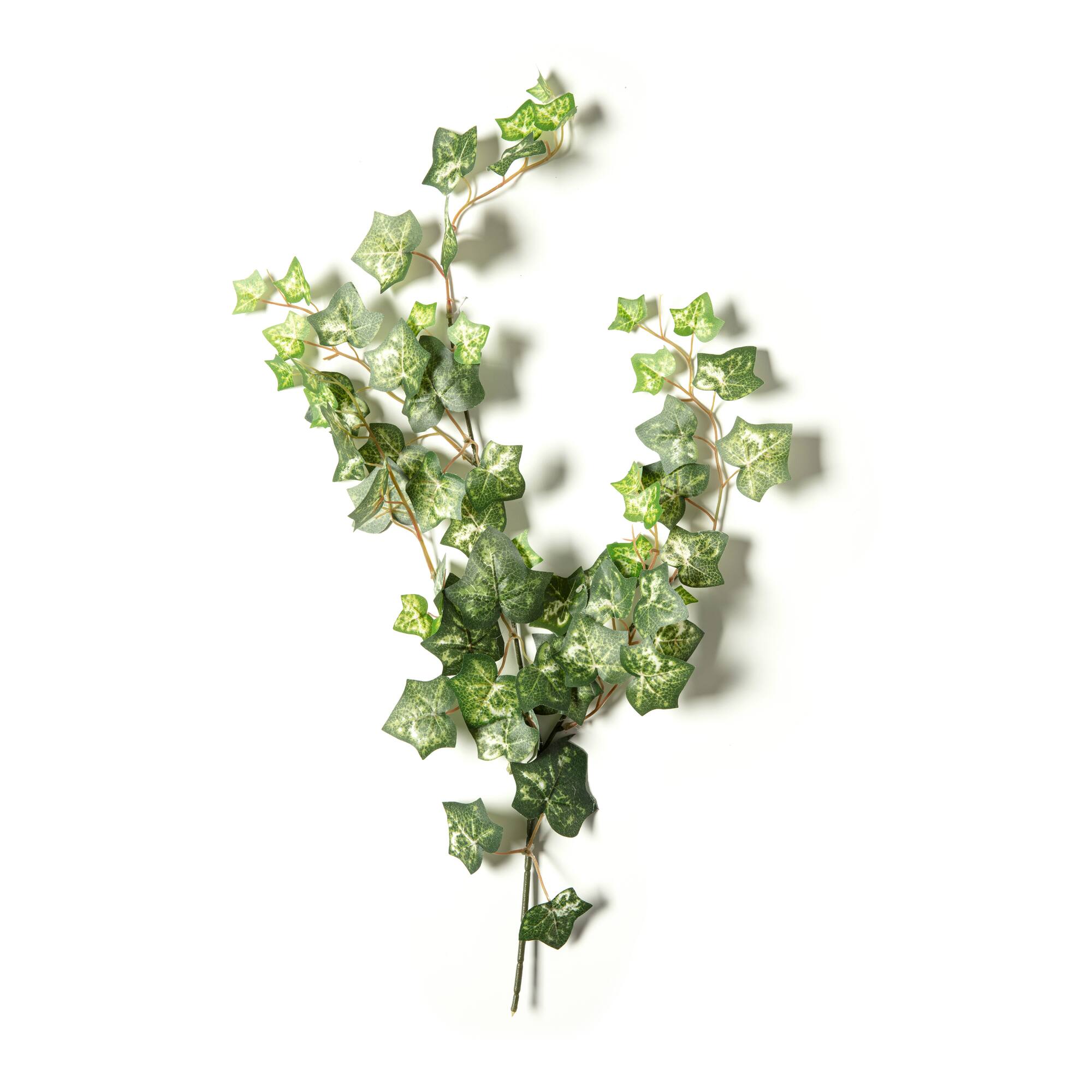 Silk Ivy Spray by Ashland®